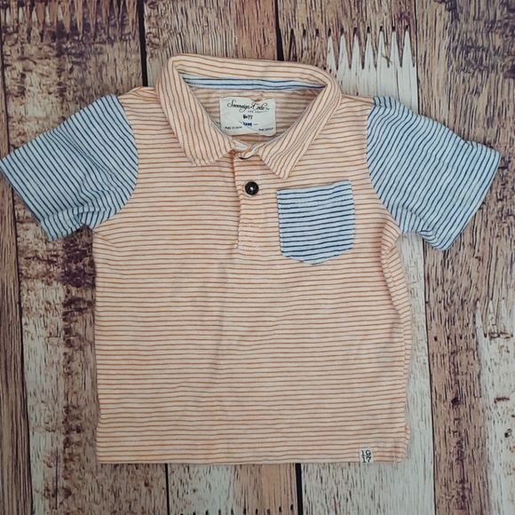 Striped Polo - Picture 1 of 6